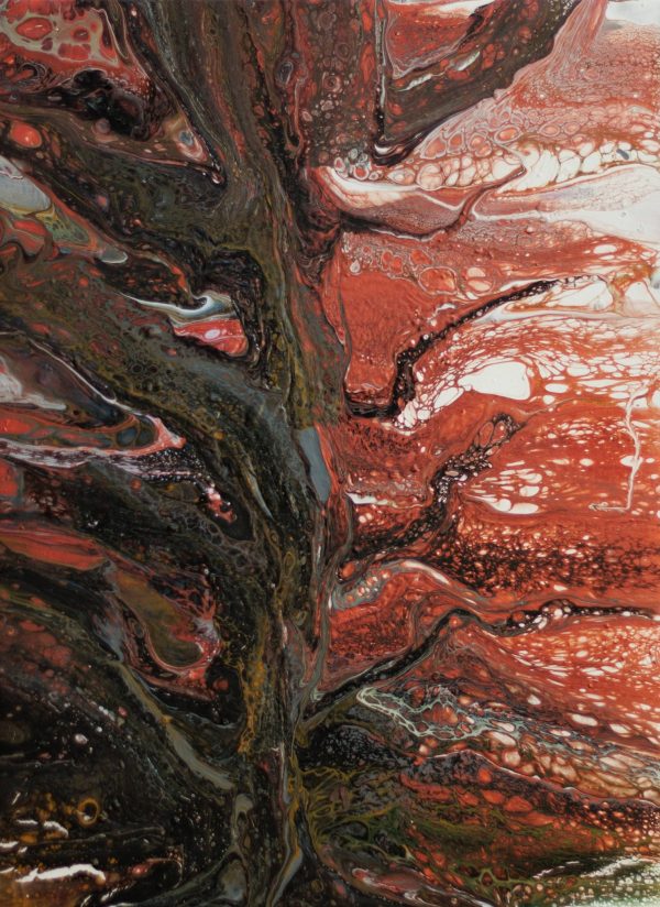 Flame Tree